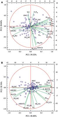 Genome-Wide Associations of Chlorophyll Fluorescence OJIP Transient Parameters Connected With Soil Drought Response in Barley